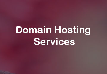 Domain Hosting Services Per Year